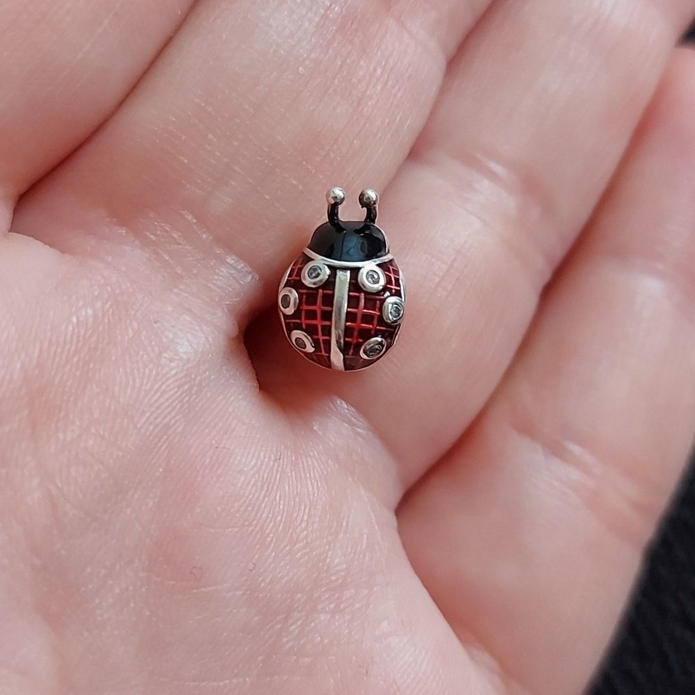 925 Sterling Silver Ladybug Charm - Picture 2 of 5
